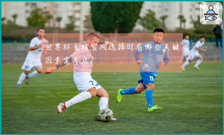 世界杯竞猜官网选择时有哪些关键因素需考虑？