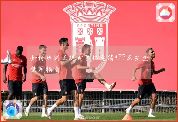 如何辨别正规世界杯竞猜APP及安全使用指南