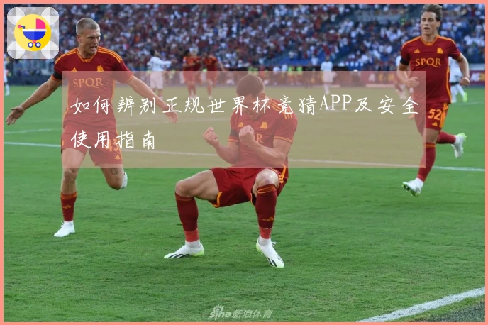 如何辨别正规世界杯竞猜APP及安全使用指南
