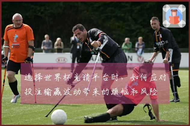 选择世界杯竞猜平台时，如何应对投注输赢波动带来的烦恼和风险