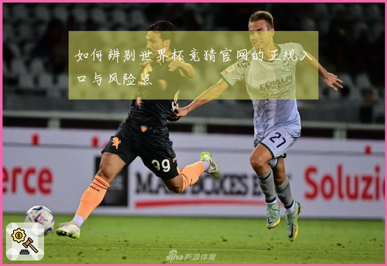如何辨别世界杯竞猜官网的正规入口与风险点